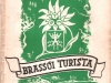 brassoi-turista